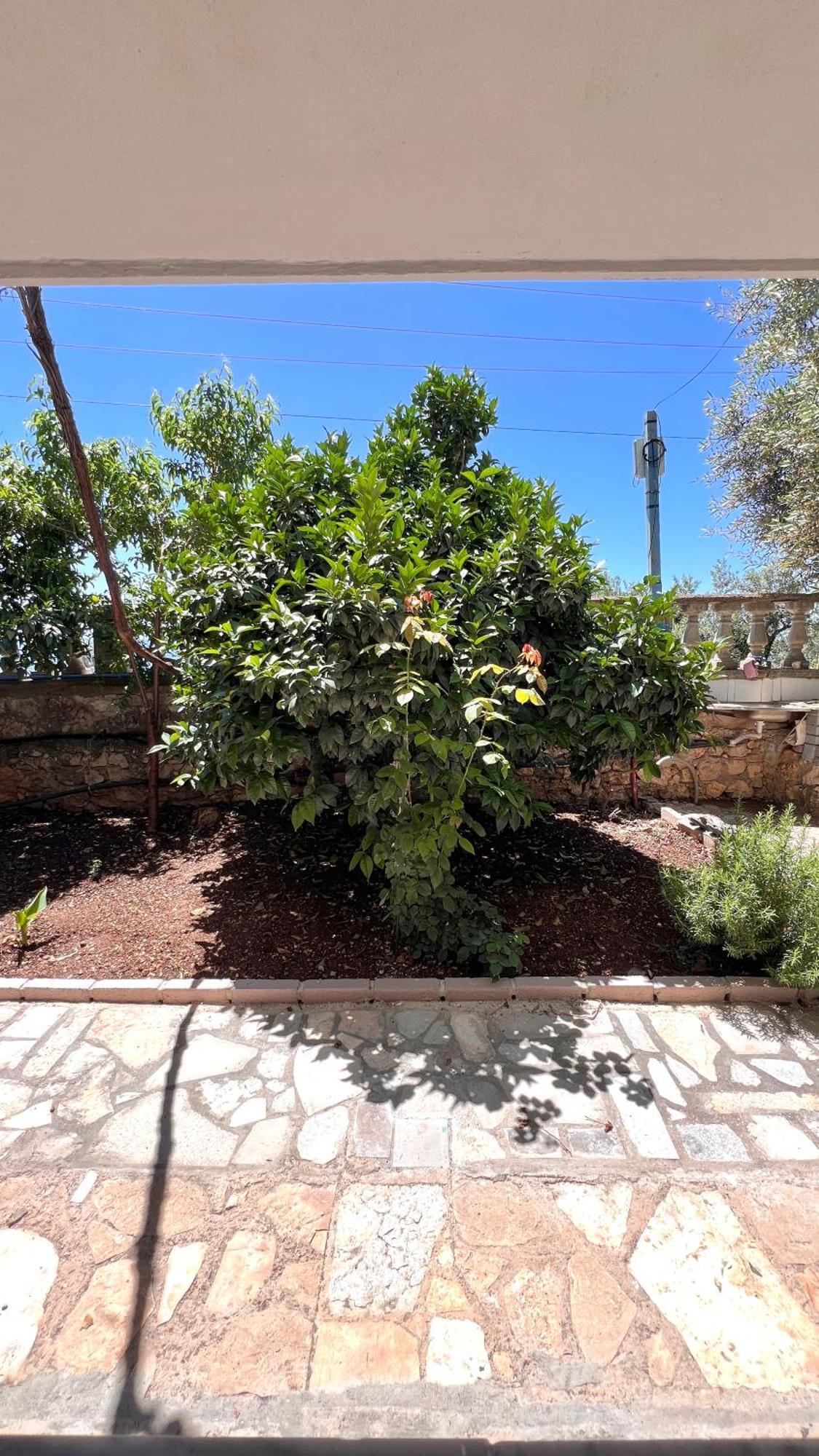 Petra Oliva Apartment Dhërmi Kültér fotó